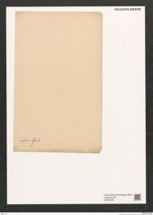Diatomeae indet. Zeichnungen Sammlung Grunow (NHMW-BOT-W0375330)